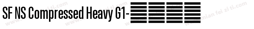 SF NS Compressed Heavy G1字体转换